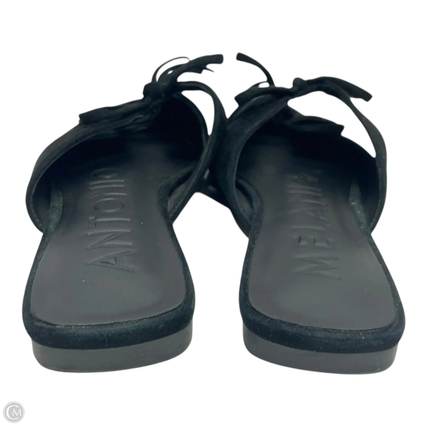 Shoes Flats By Antonio Melani In Black, Size: 7