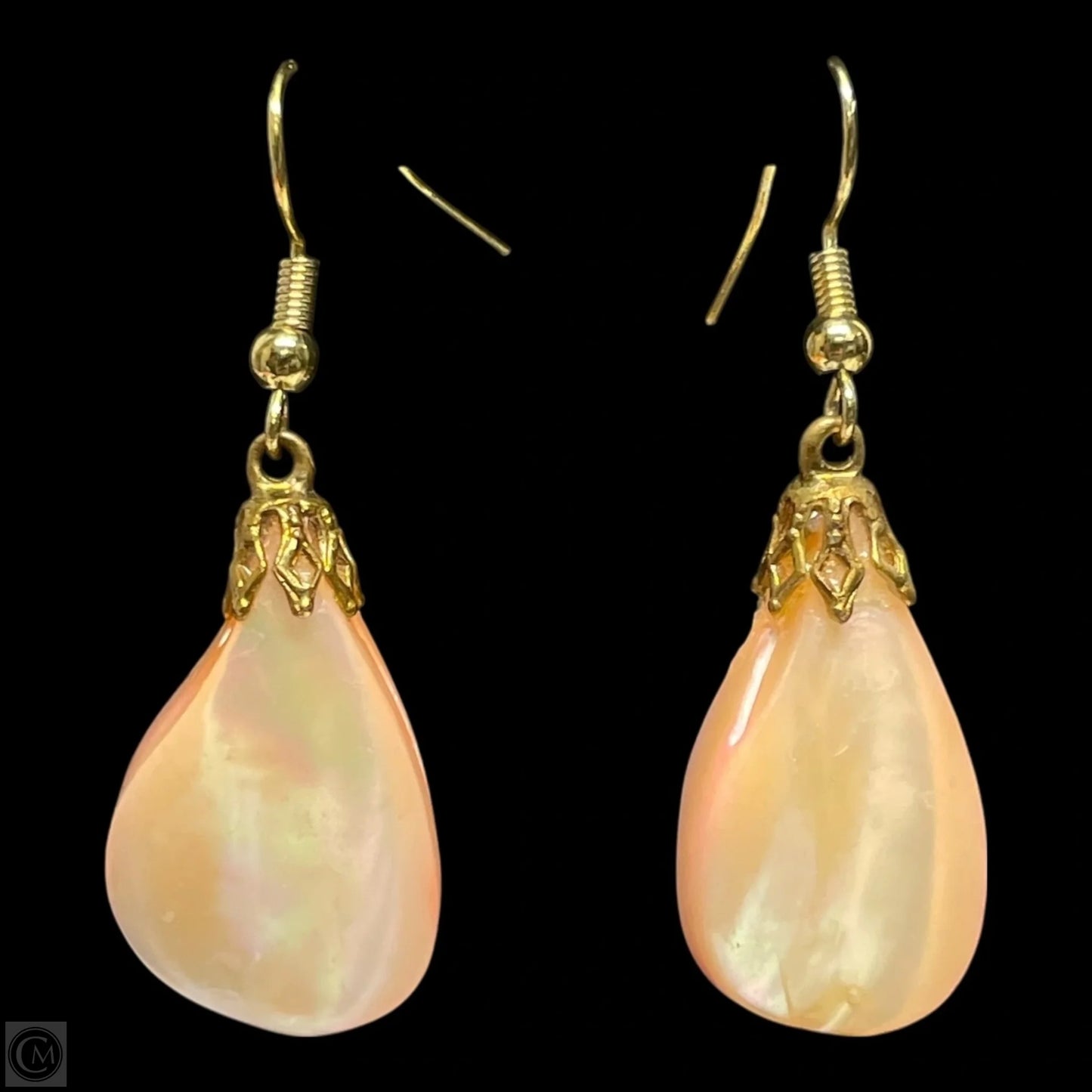 Earrings Dangle/drop By Clothes Mentor
