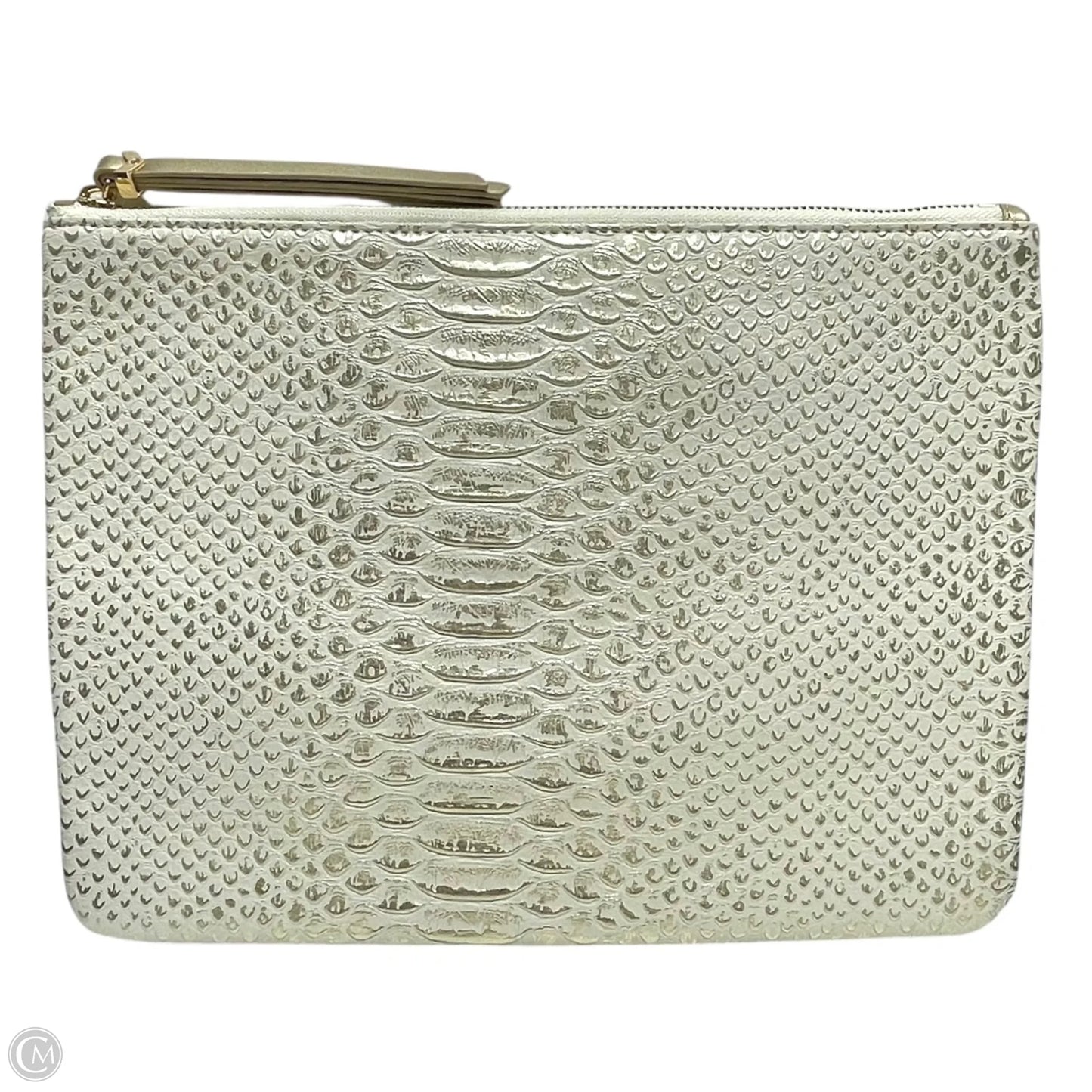 Clutch By Stella And Dot, Size: Large