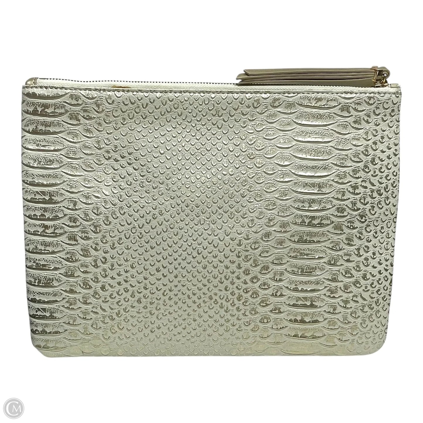 Clutch By Stella And Dot, Size: Large