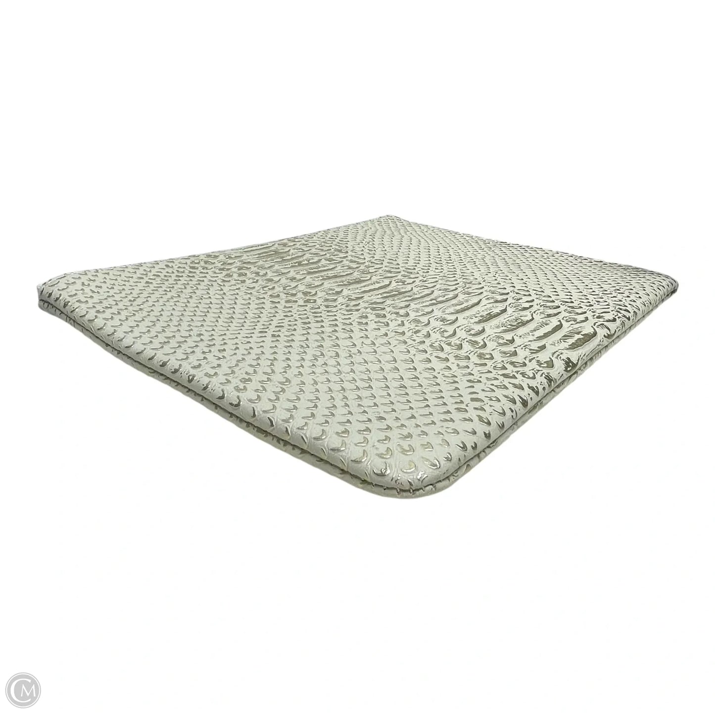 Clutch By Stella And Dot, Size: Large