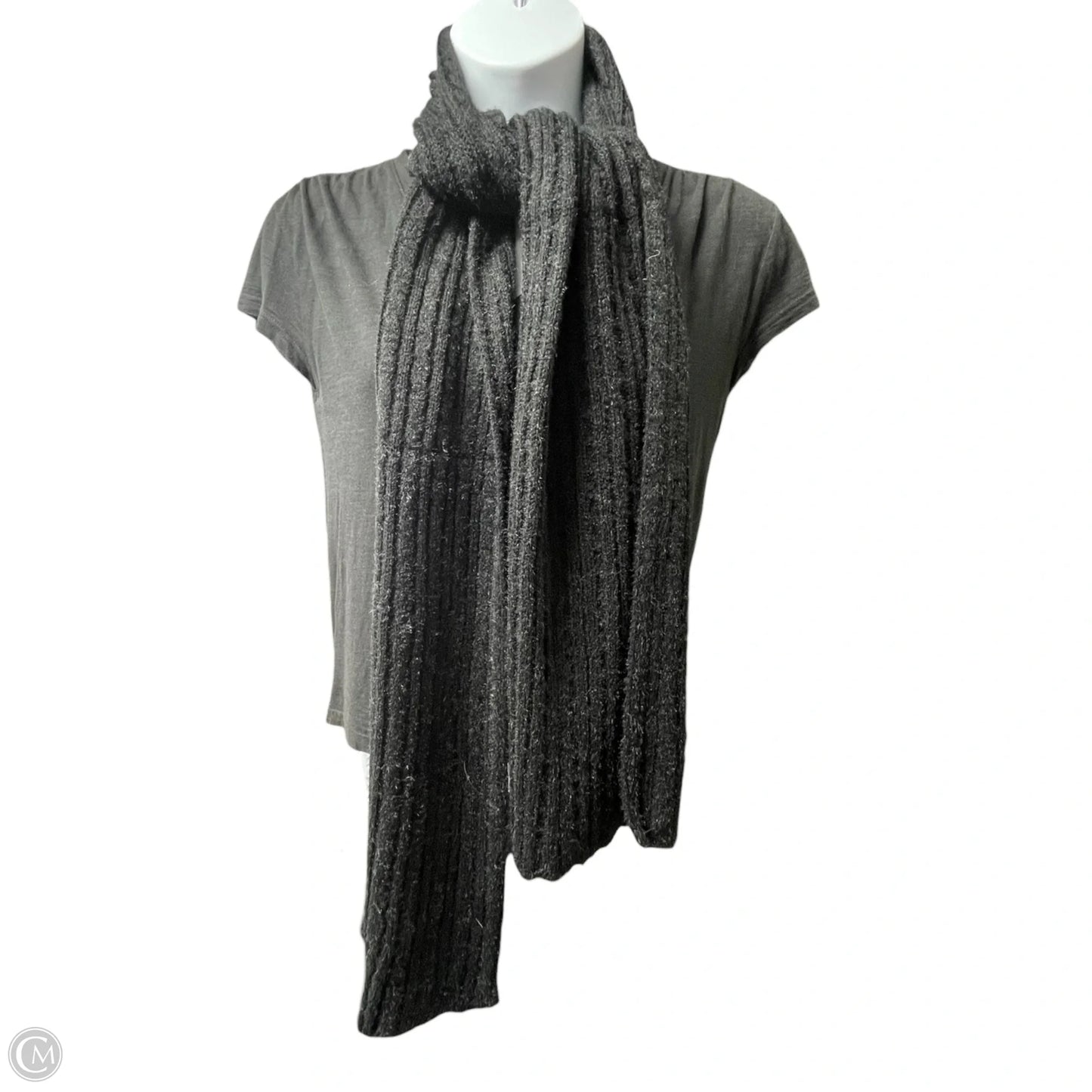 Scarf Long By Clothes Mentor