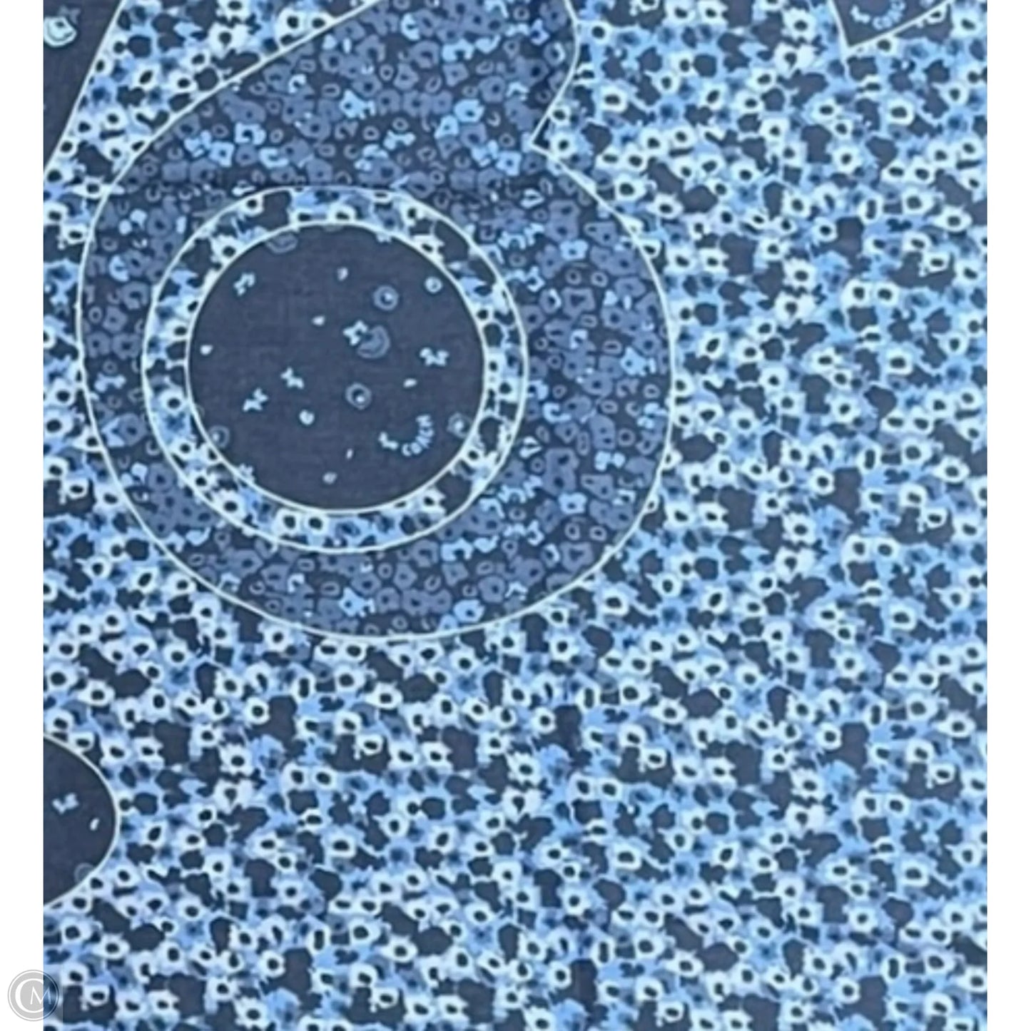Scarf Designer By Coach