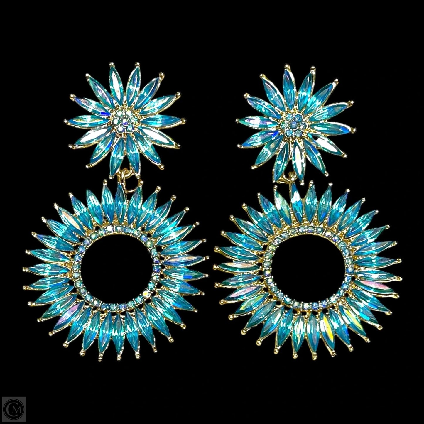 Earrings Dangle/drop By Clothes Mentor