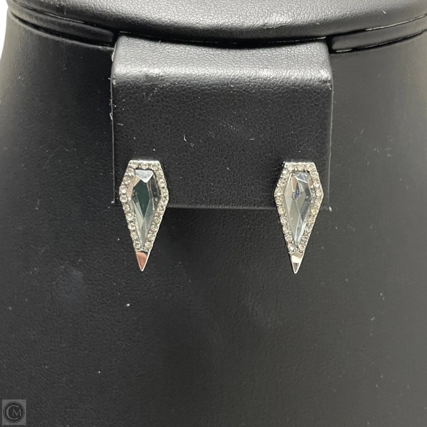 Earrings Designer By Rebecca Minkoff