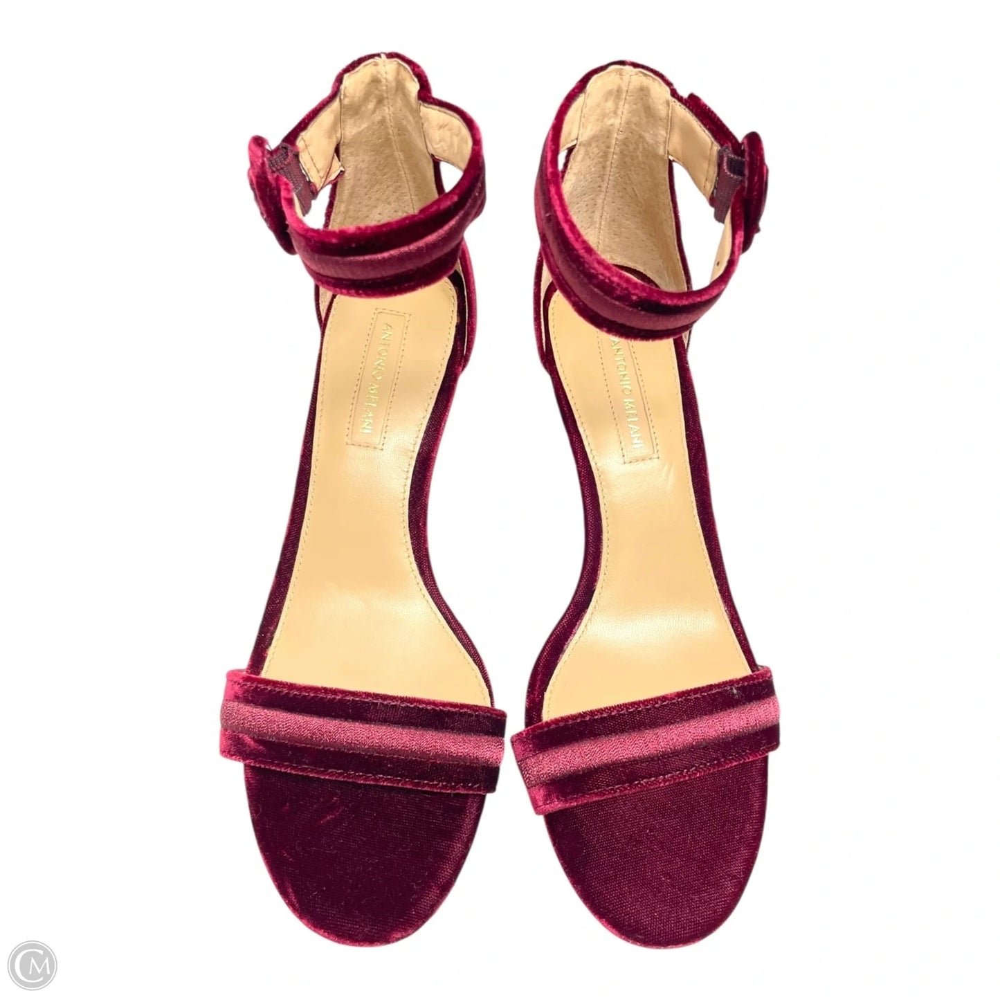 Shoes Heels Stiletto By Antonio Melani In Red, Size: 7