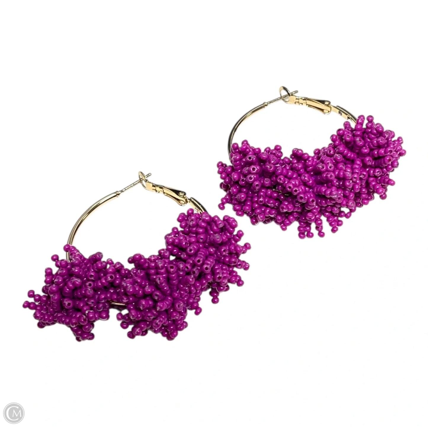 Earrings Dangle/drop By Chicos