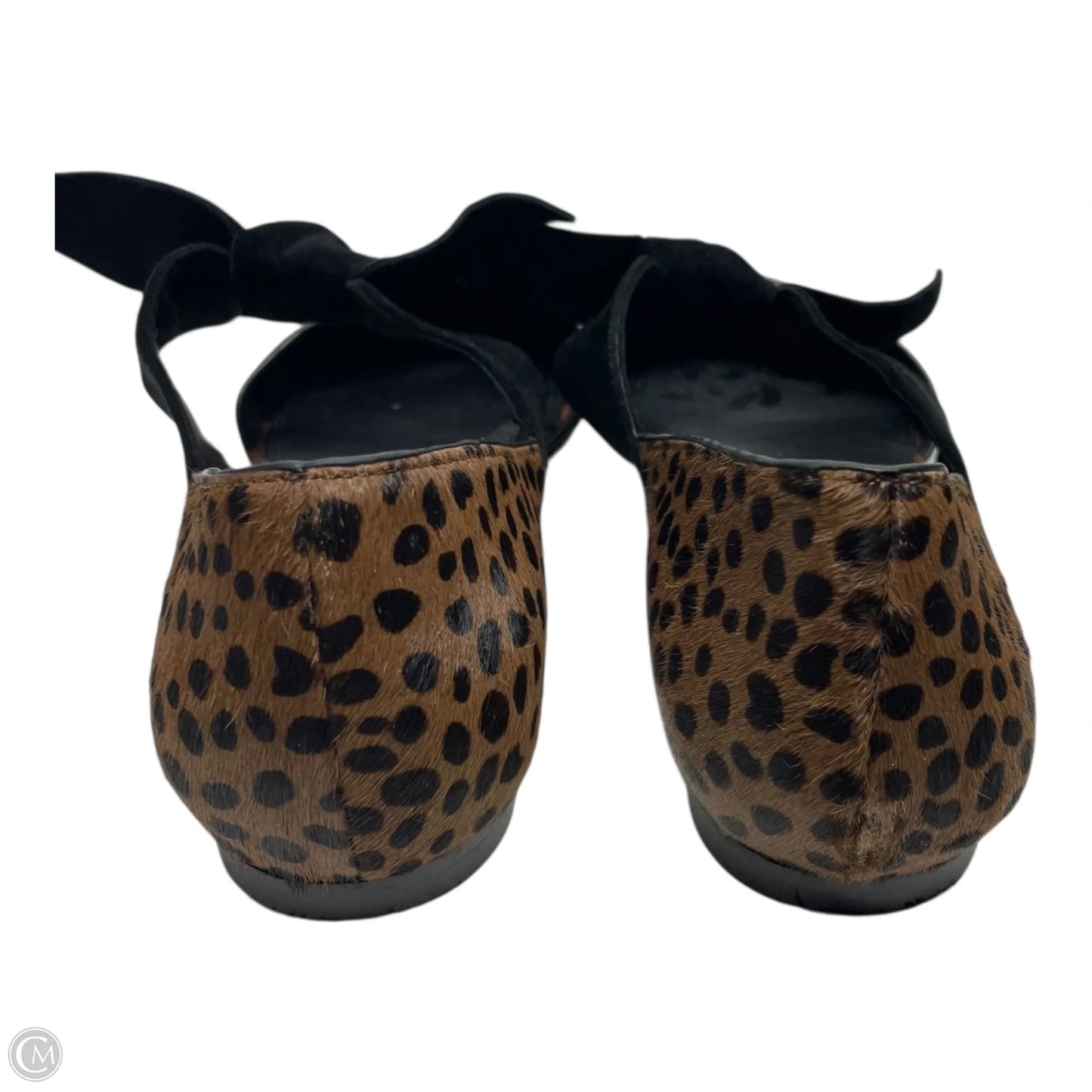 Shoes Flats By Gianni Bini In Animal Print, Size: 9