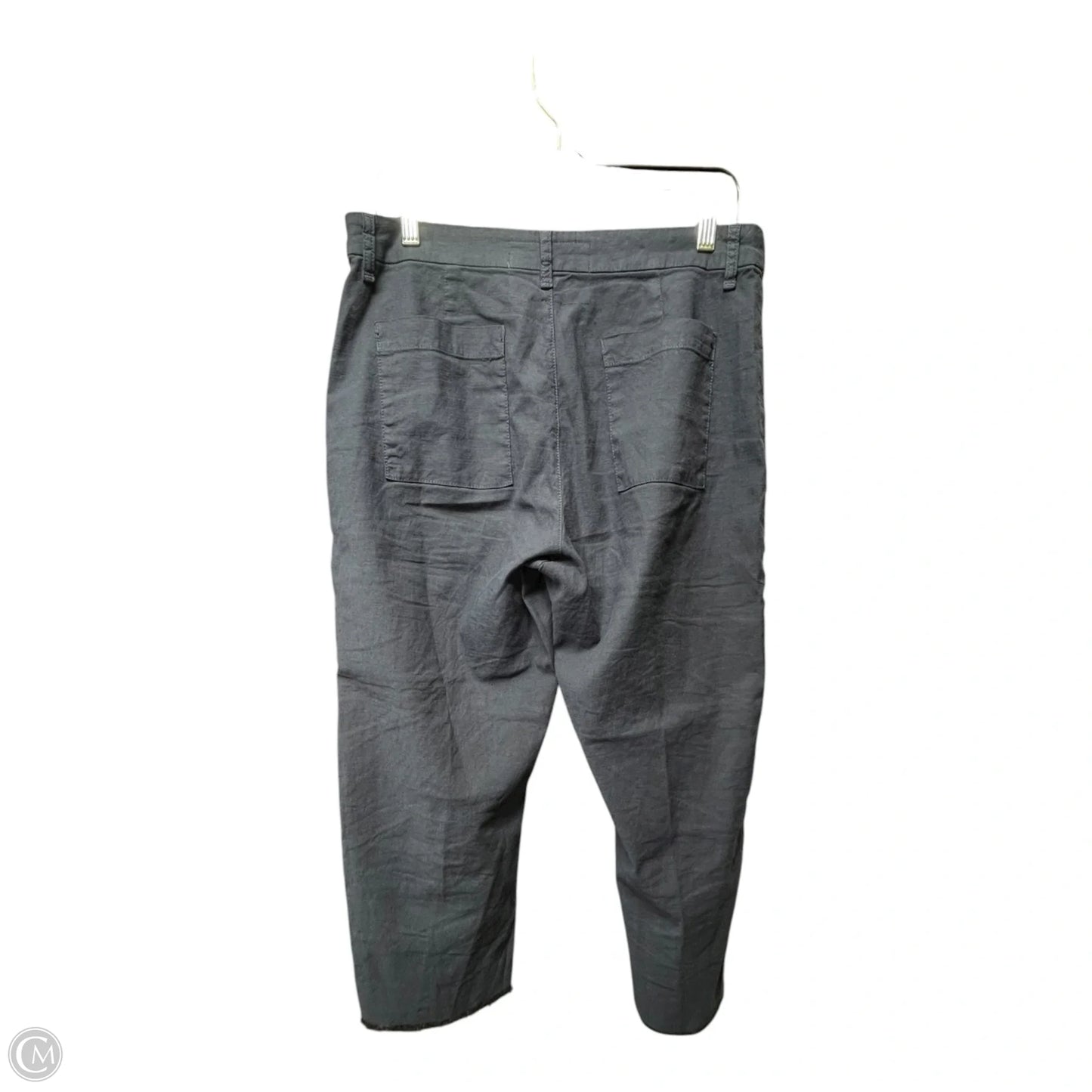Pants Other By Frank And Eileen In Navy, Size: 10