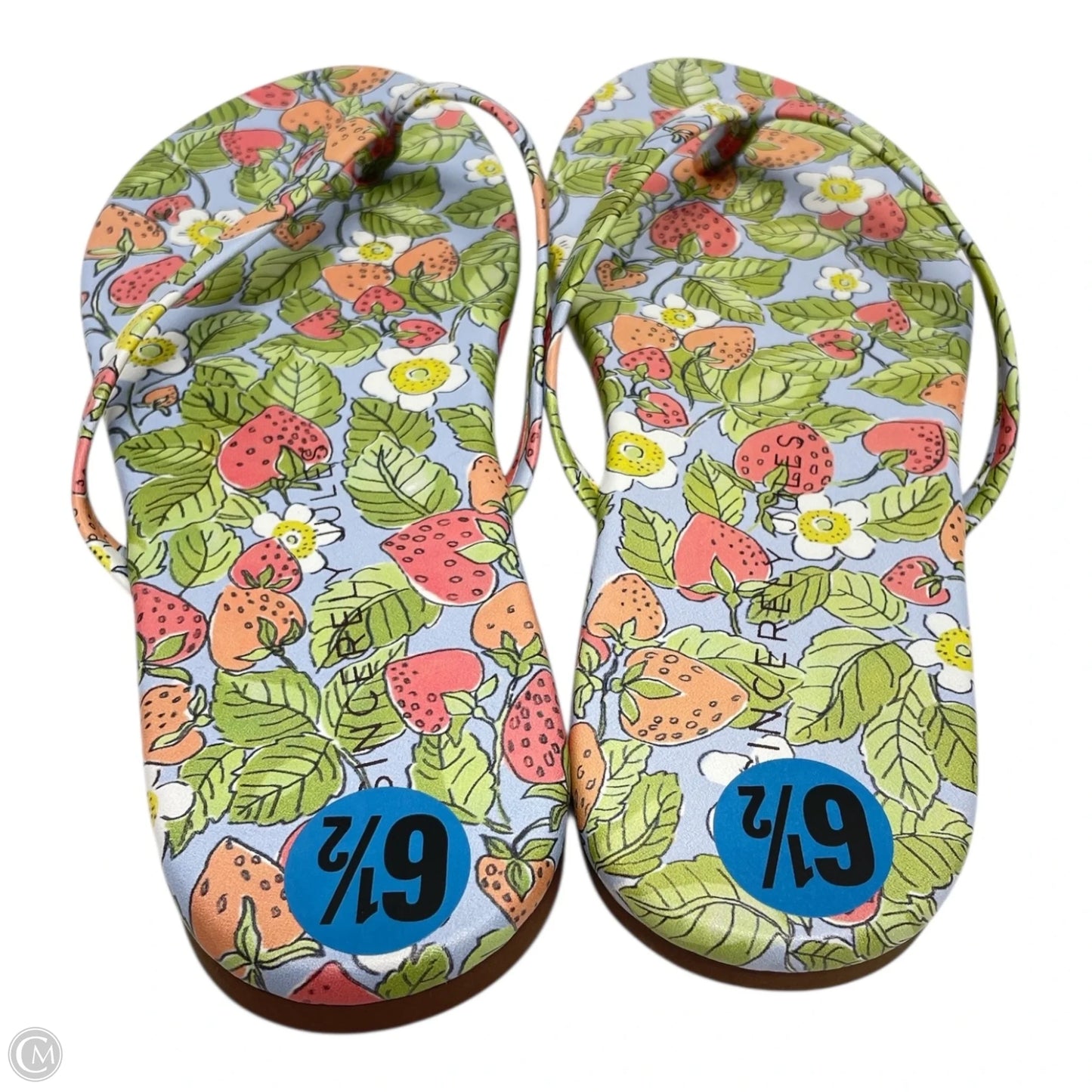 Sandals Flip Flops By Sincerely Jules In Floral Print, Size: 6.5