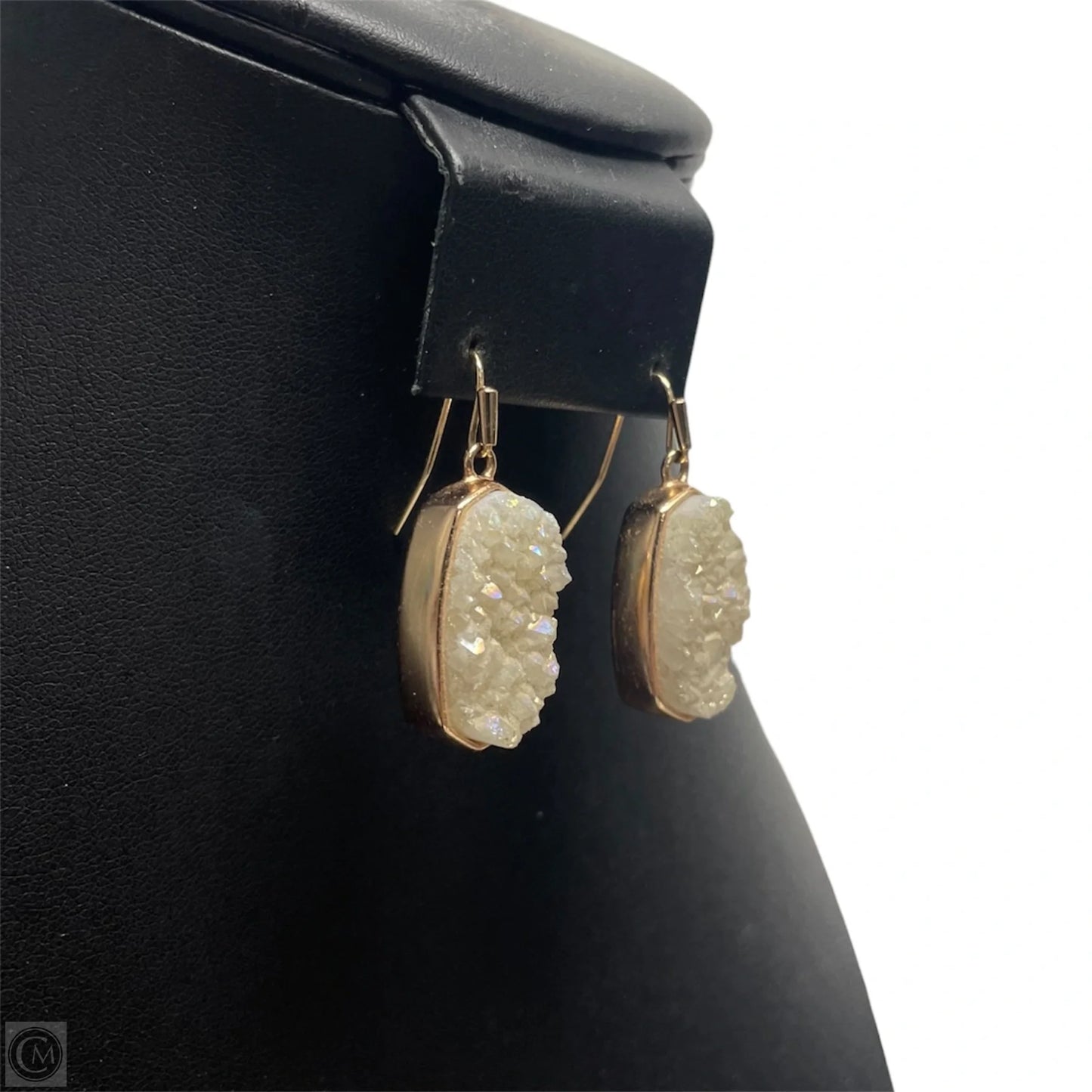 Earrings Dangle/drop By Kendra Scott