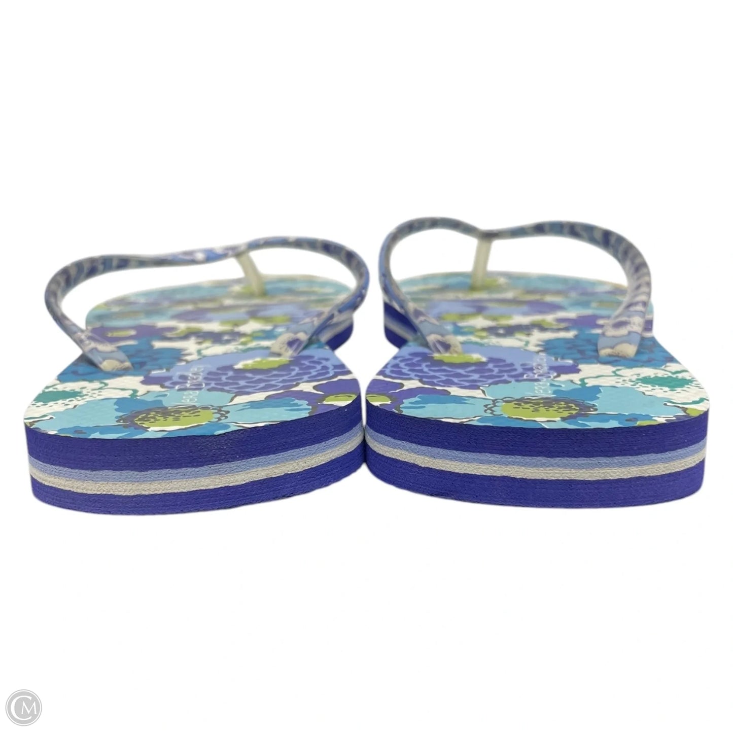 Sandals Flip Flops By Vera Bradley In Floral Print, Size: 6