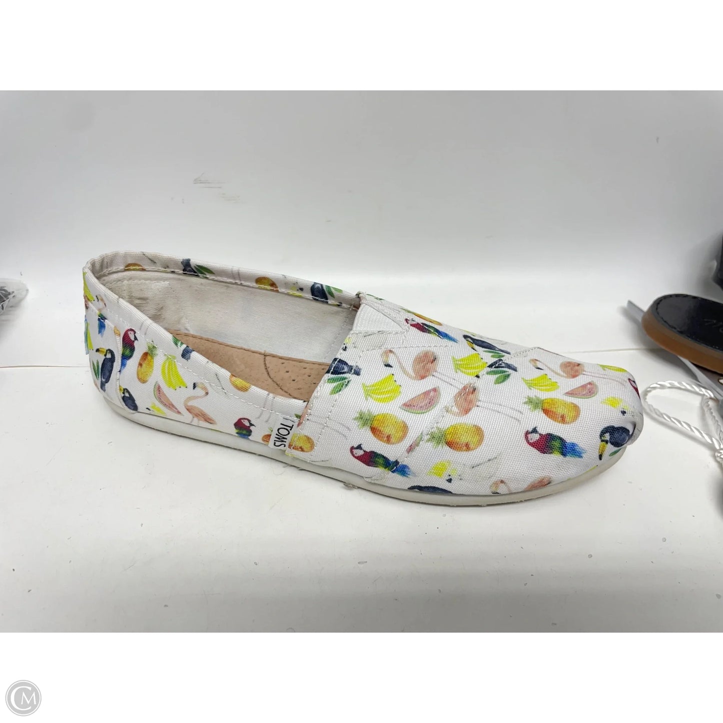 Shoes Flats By Toms In Multi-colored, Size: 8