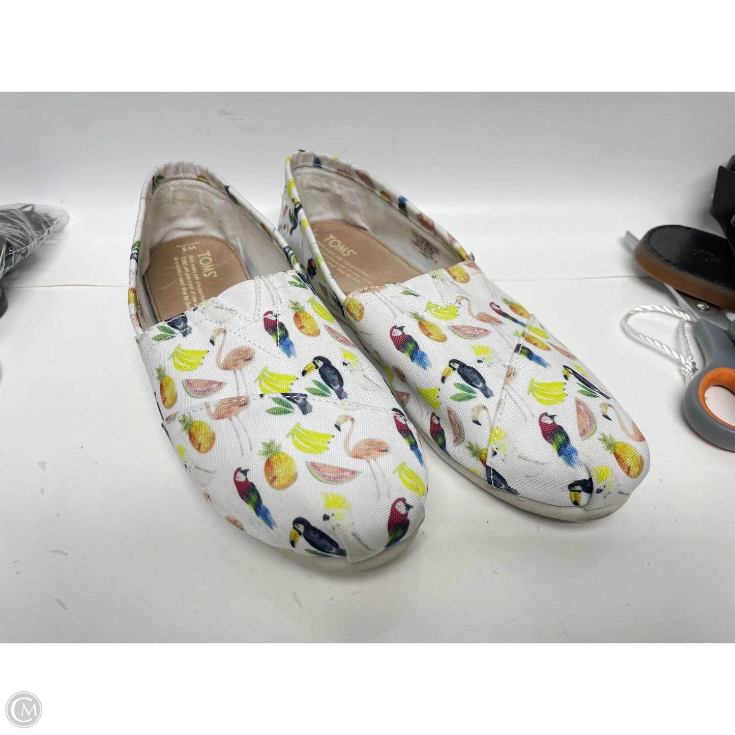 Shoes Flats By Toms In Multi-colored, Size: 8