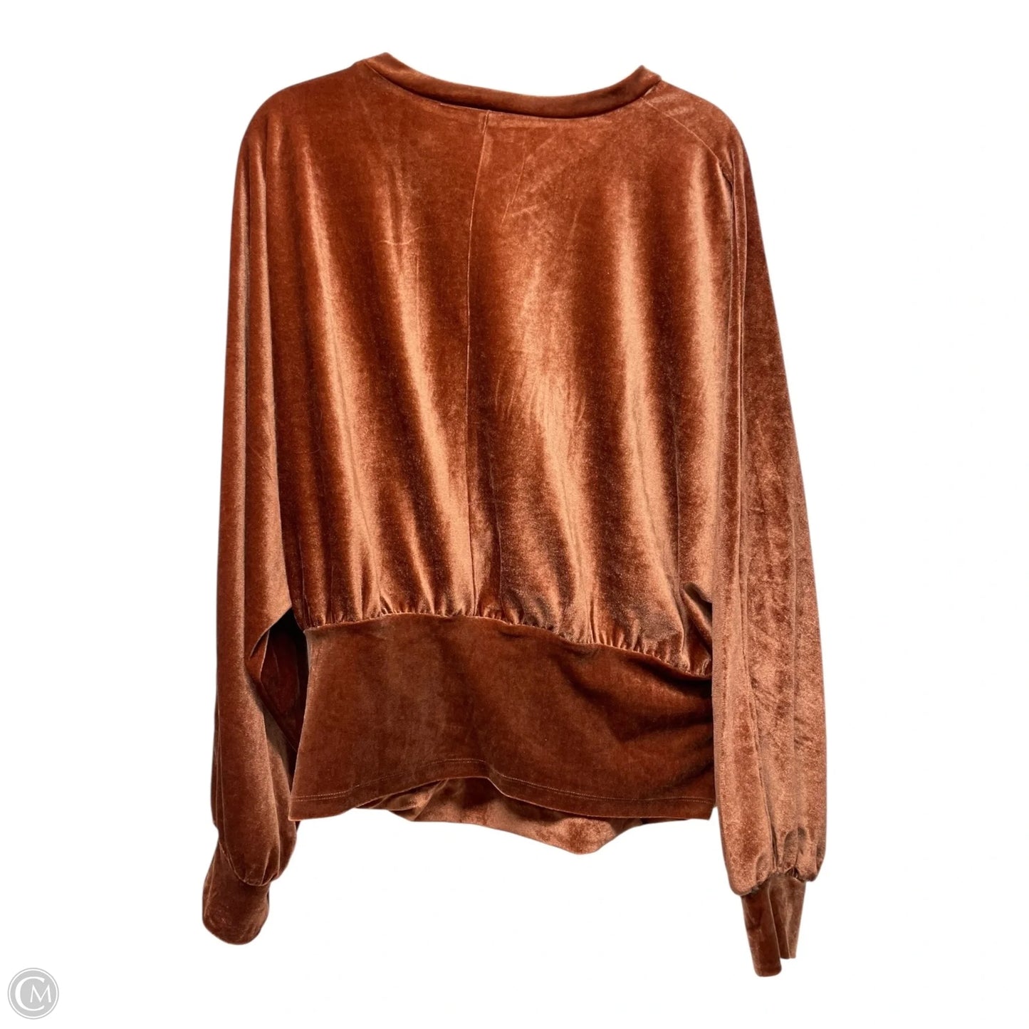 Top Long Sleeve By jess lea In Brown Size: 2x