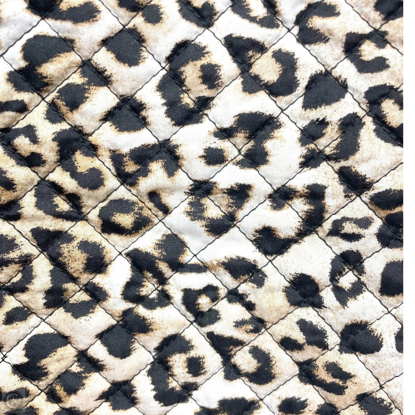 Jacket Other By Chicos In Animal Print, Size: M
