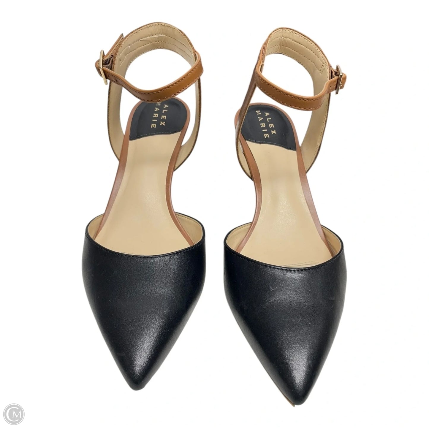 Shoes Heels Kitten By Alex Marie In Black & Tan, Size: 6