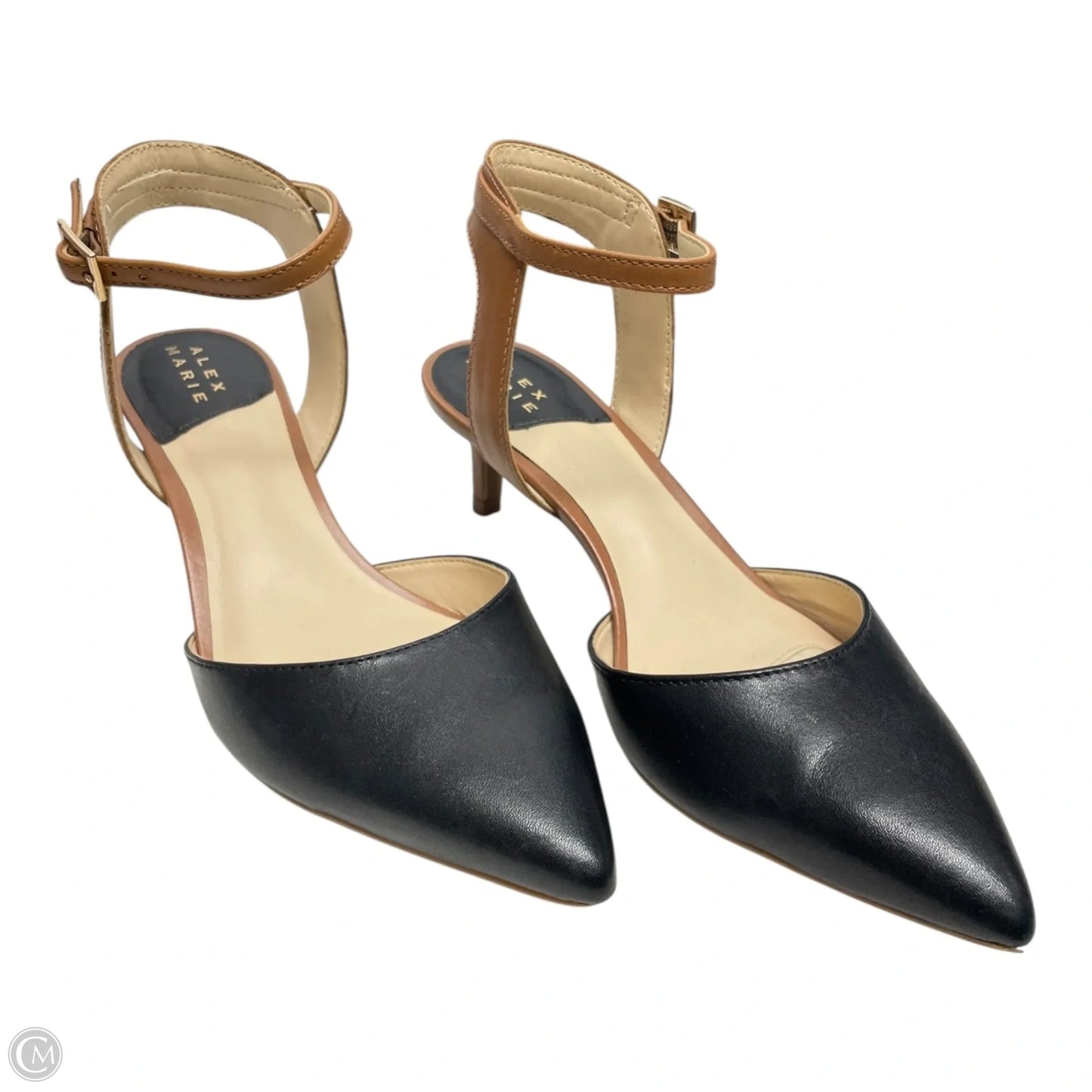 Shoes Heels Kitten By Alex Marie In Black & Tan, Size: 6