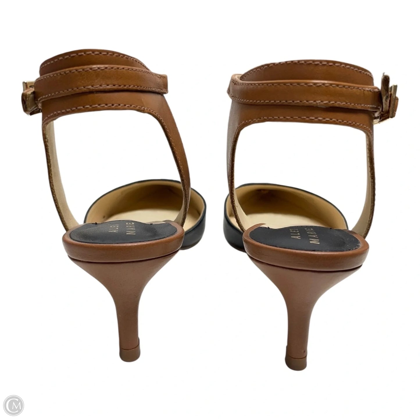 Shoes Heels Kitten By Alex Marie In Black & Tan, Size: 6