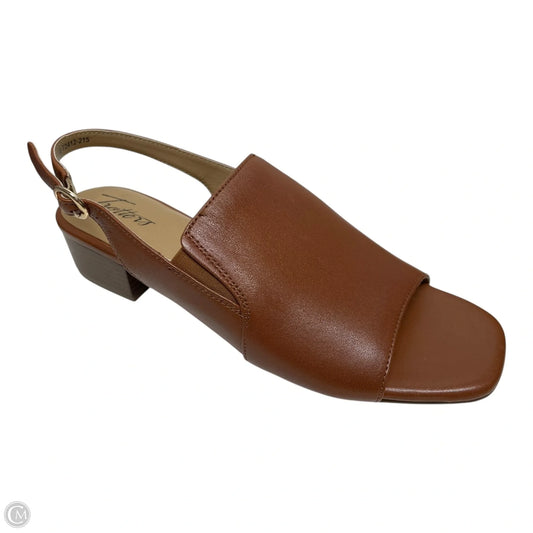 Shoes Heels Block By TROTTERS In Brown, Size: 8.5