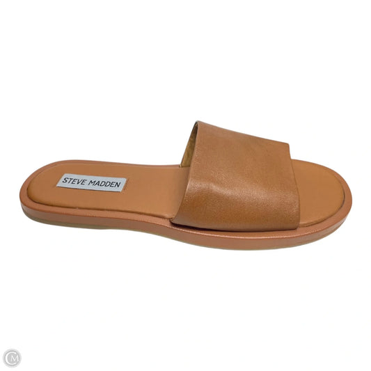 Sandals Flats By Steve Madden In Brown, Size: 6.5