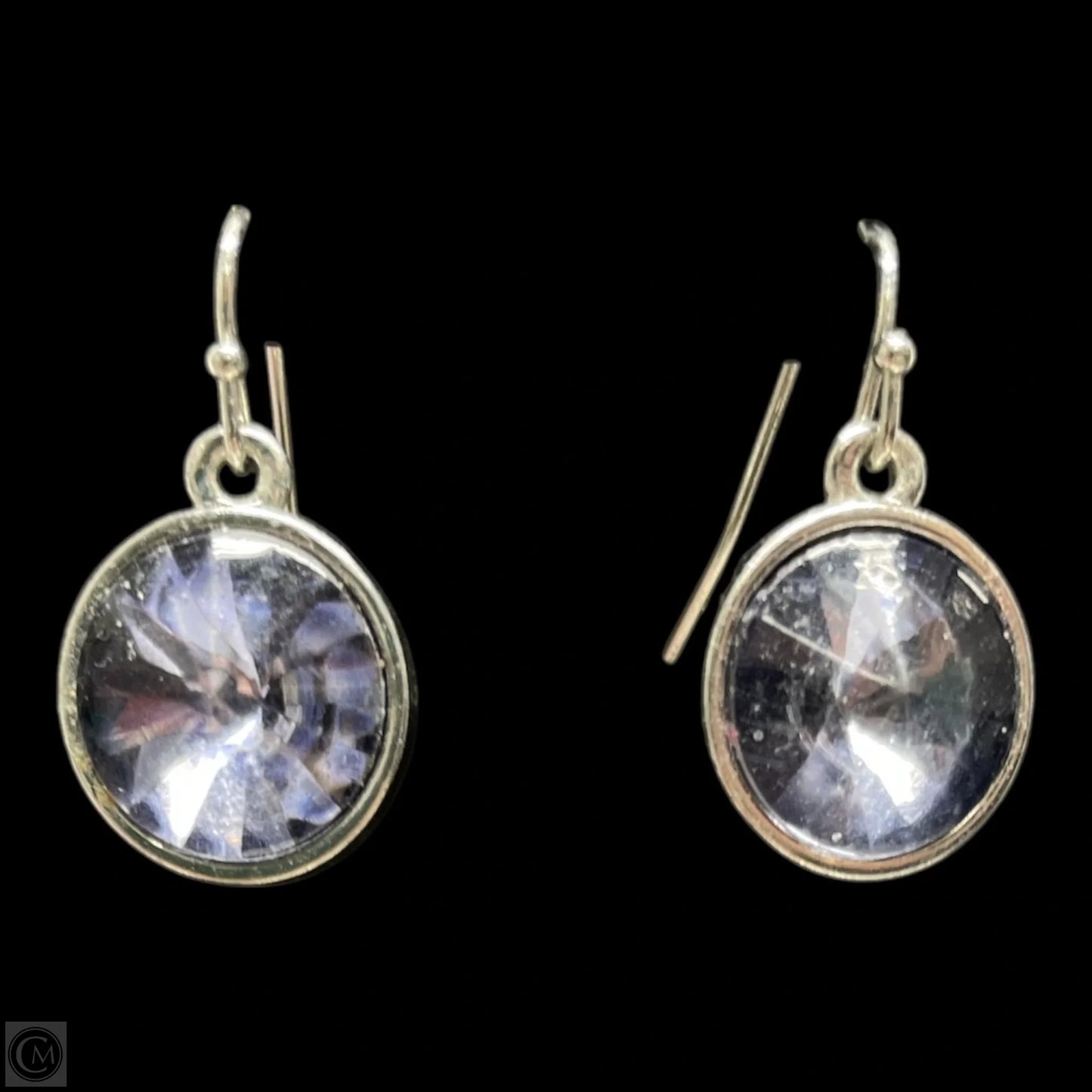 Earrings Dangle/drop By Clothes Mentor