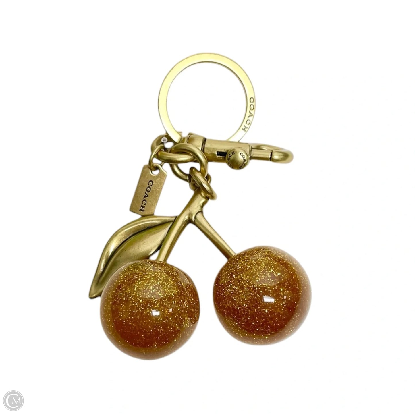 Accessory Designer Tag By Coach