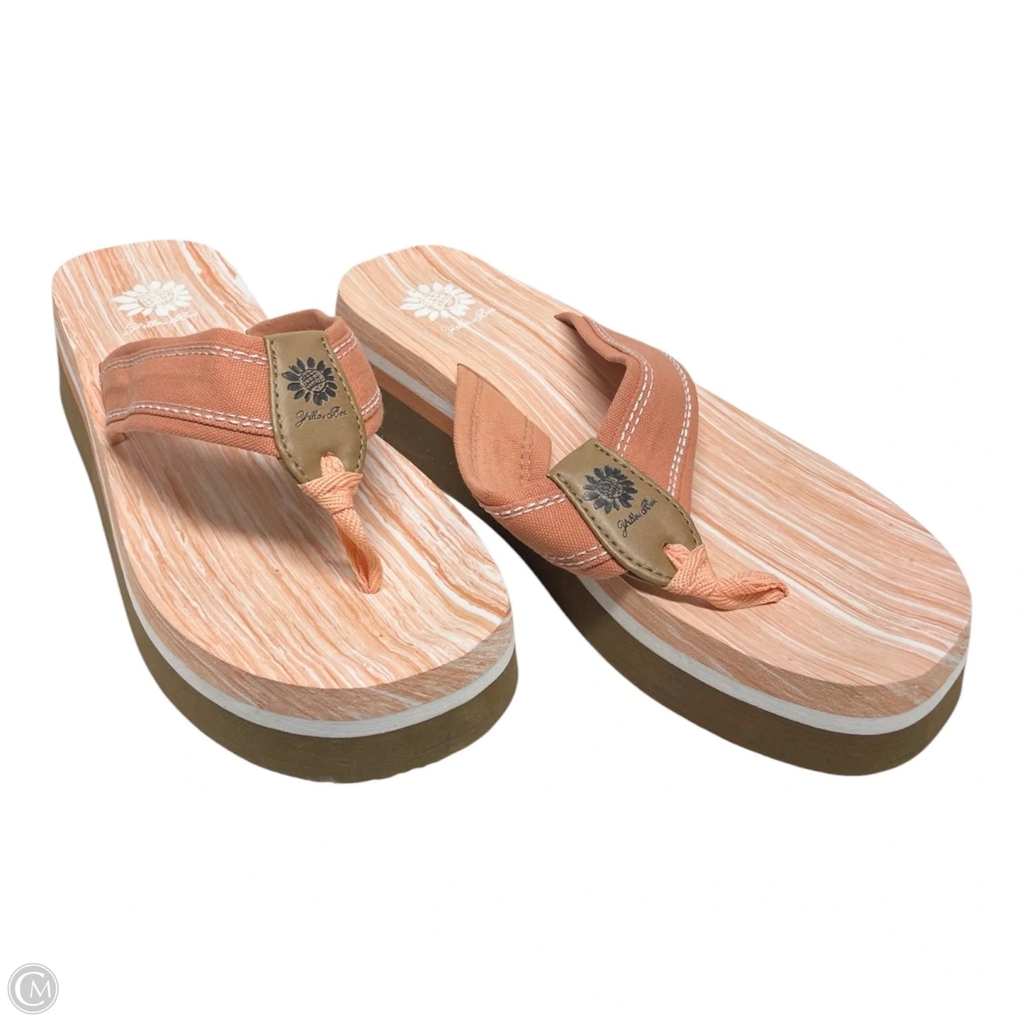 Sandals Flip Flops By Yellow Box In Orange & White, Size: 10