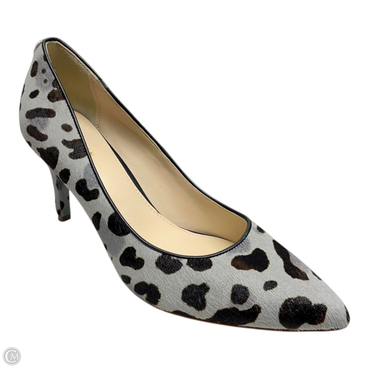 Shoes Heels Stiletto By Cole-haan In Animal Print, Size: 6