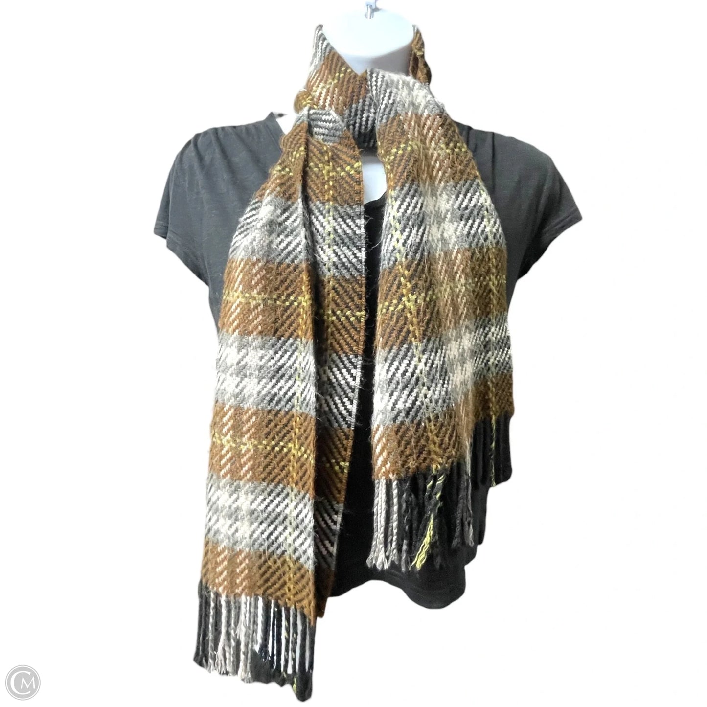 Scarf Winter By Clothes Mentor In Multi-colored