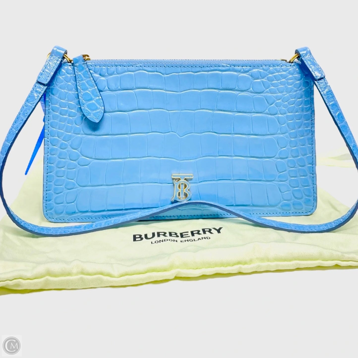 Handbag Luxury Designer By Burberry, Size: Small