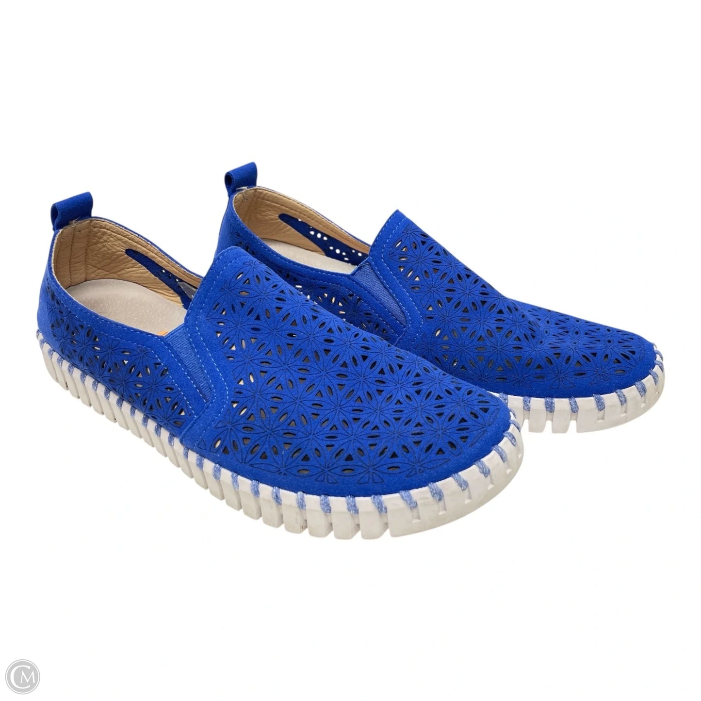 Shoes Flats By ISLE JACOBSEN In Blue, Size: 10