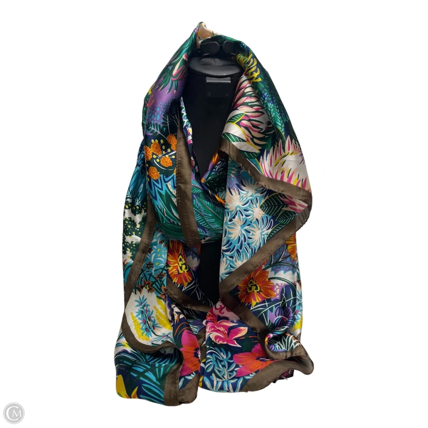 Scarf Long By Clothes Mentor