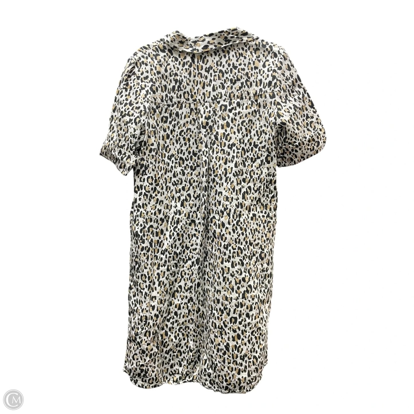Dress Casual Short By Chicos In Leopard Print, Size: M