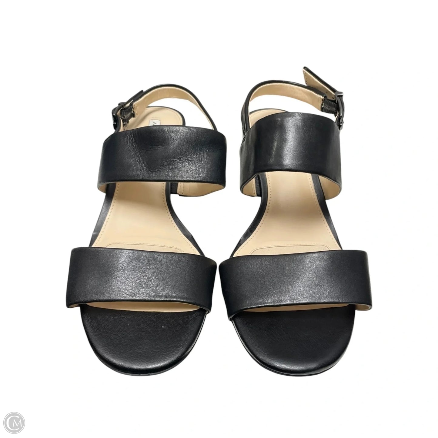 Sandals Heels Block By Alex Marie In Black, Size: 7