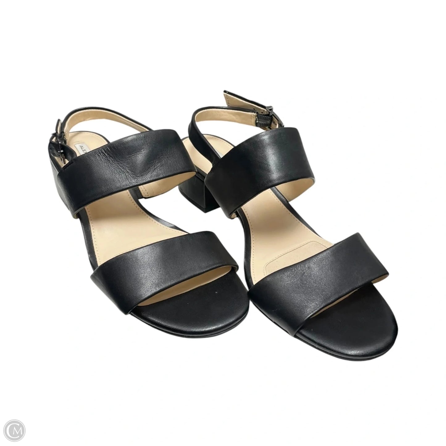 Sandals Heels Block By Alex Marie In Black, Size: 7
