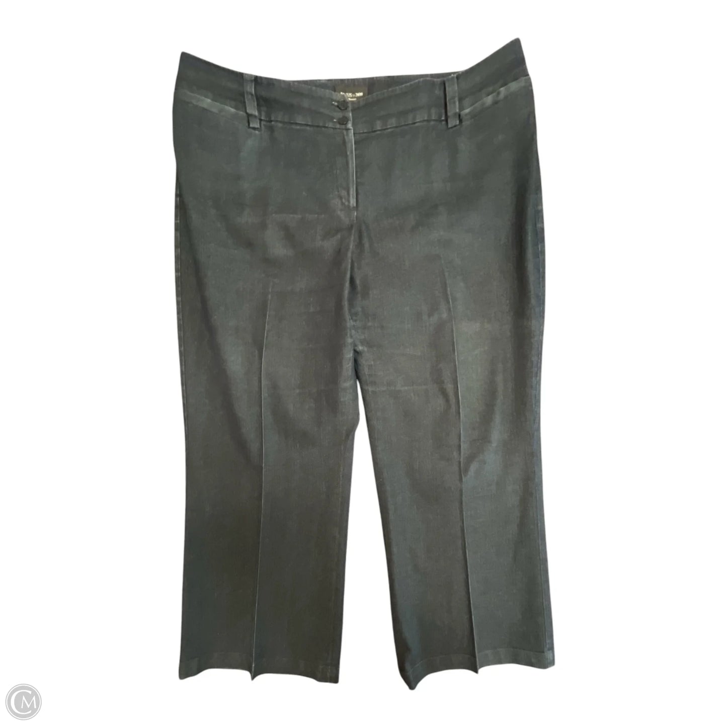 Pants Other By Focus 2000 In Blue, Size: 2x