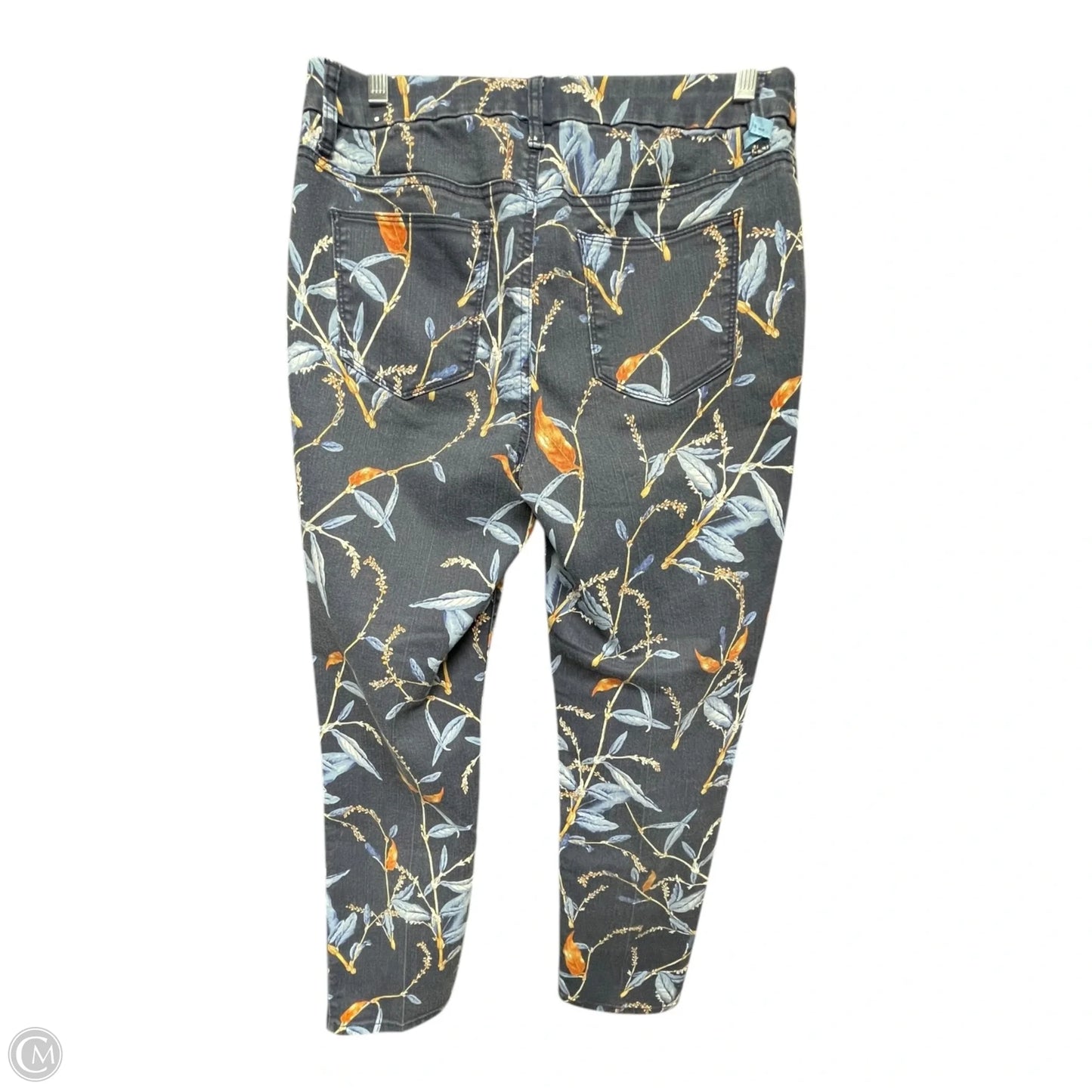 Pants Other By Chicos In Floral Print, Size: S