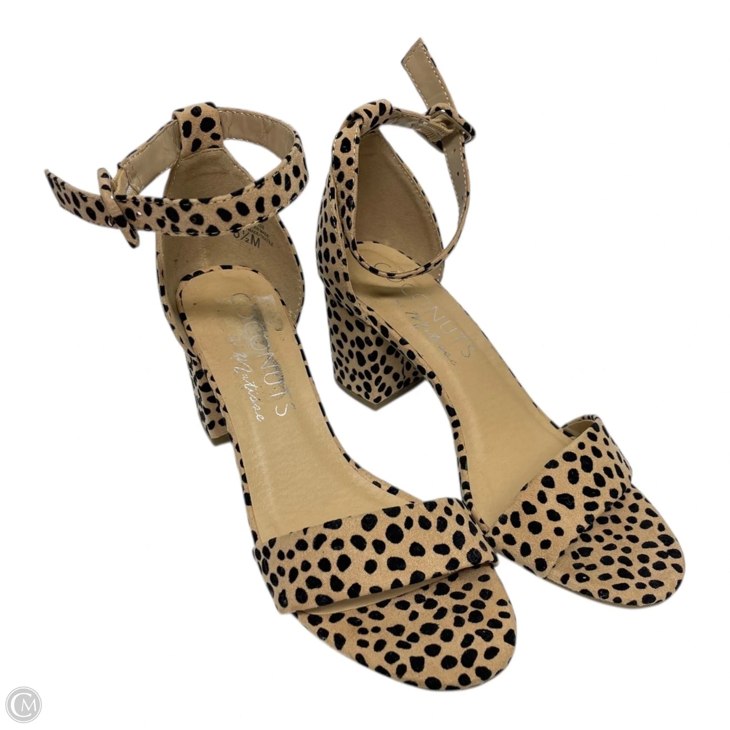 Shoes Heels Block By Matisse In Animal Print, Size: 6.5