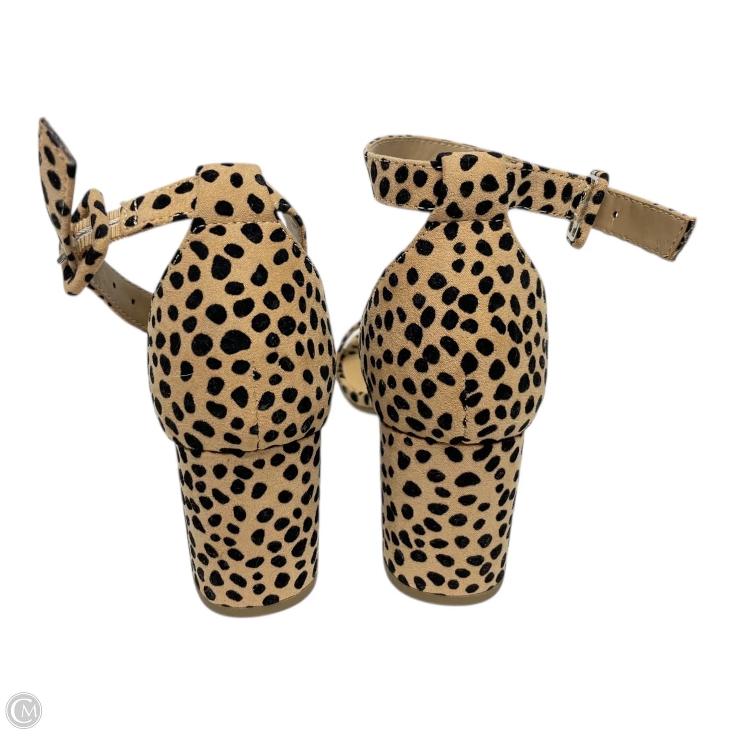 Shoes Heels Block By Matisse In Animal Print, Size: 6.5