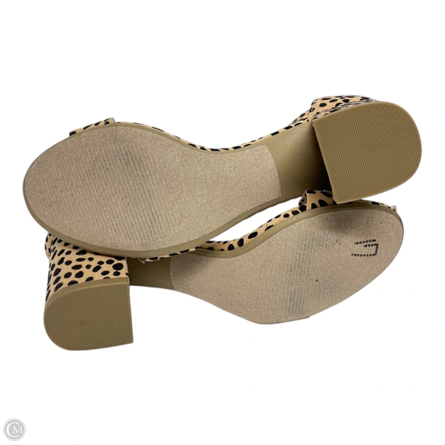 Shoes Heels Block By Matisse In Animal Print, Size: 6.5