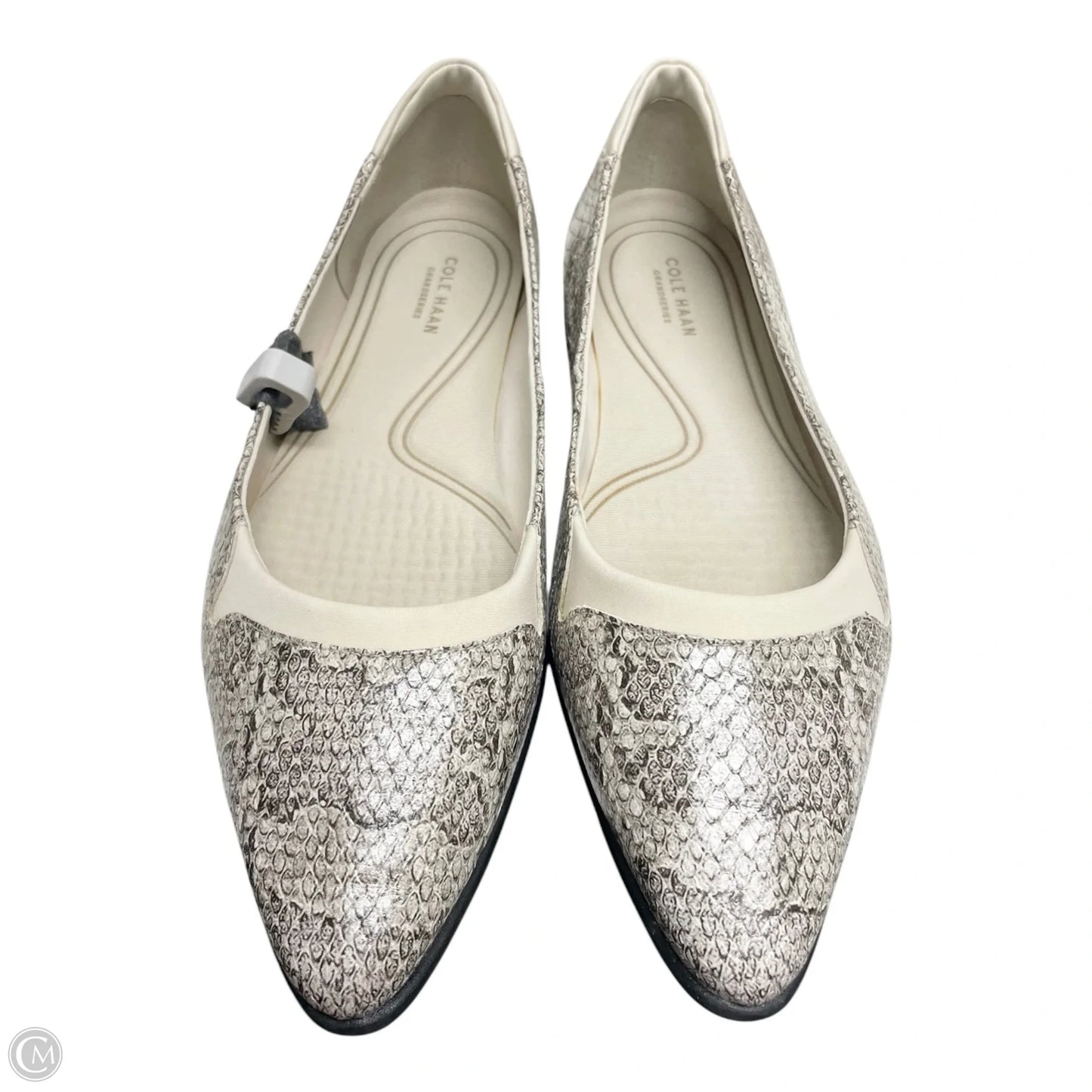 Shoes Flats By Cole-haan In Snakeskin Print, Size: 9