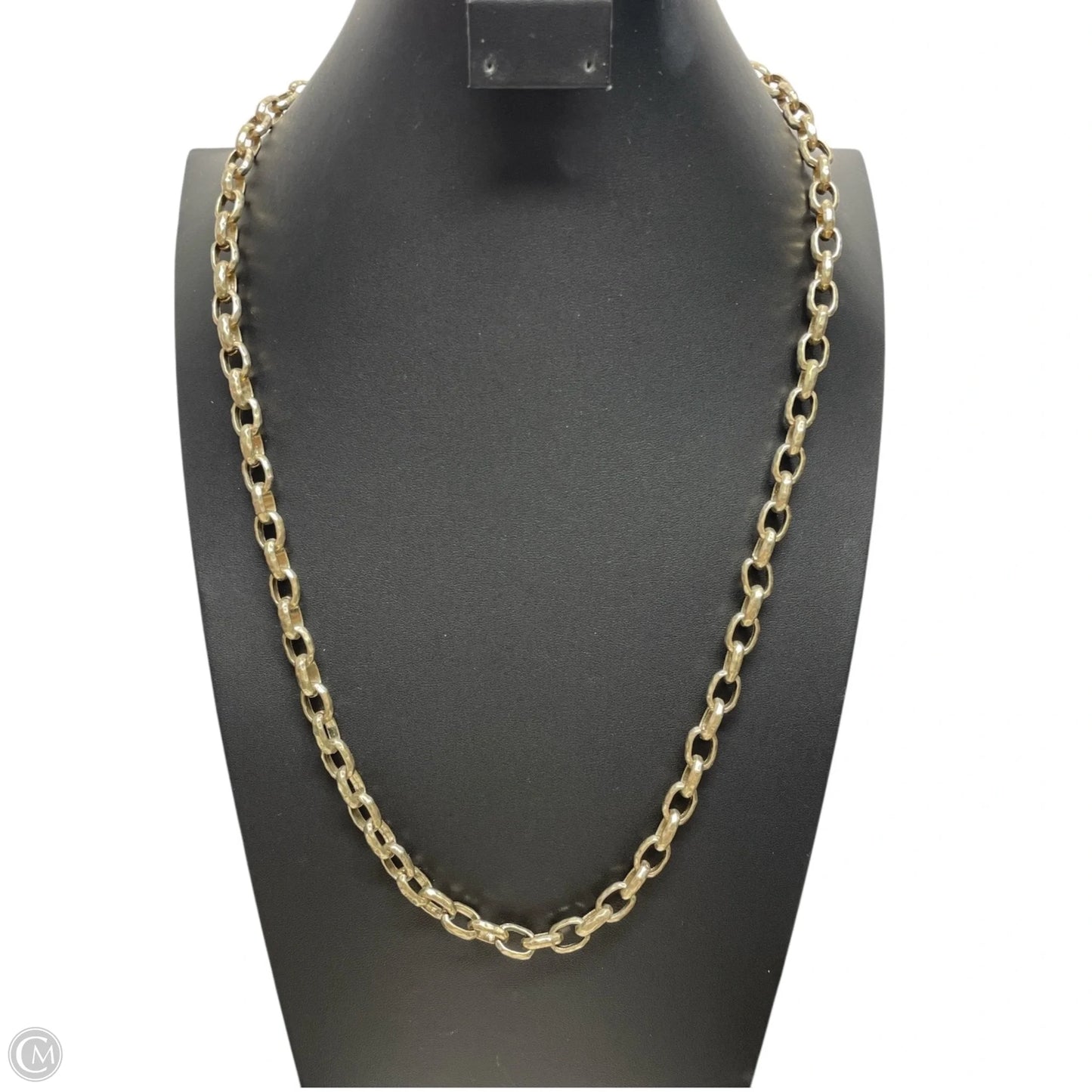 Necklace Chain By Clothes Mentor