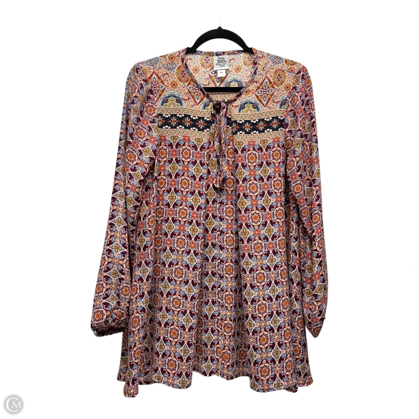 Top Long Sleeve By Ivy Jane In Multi-colored, Size: M