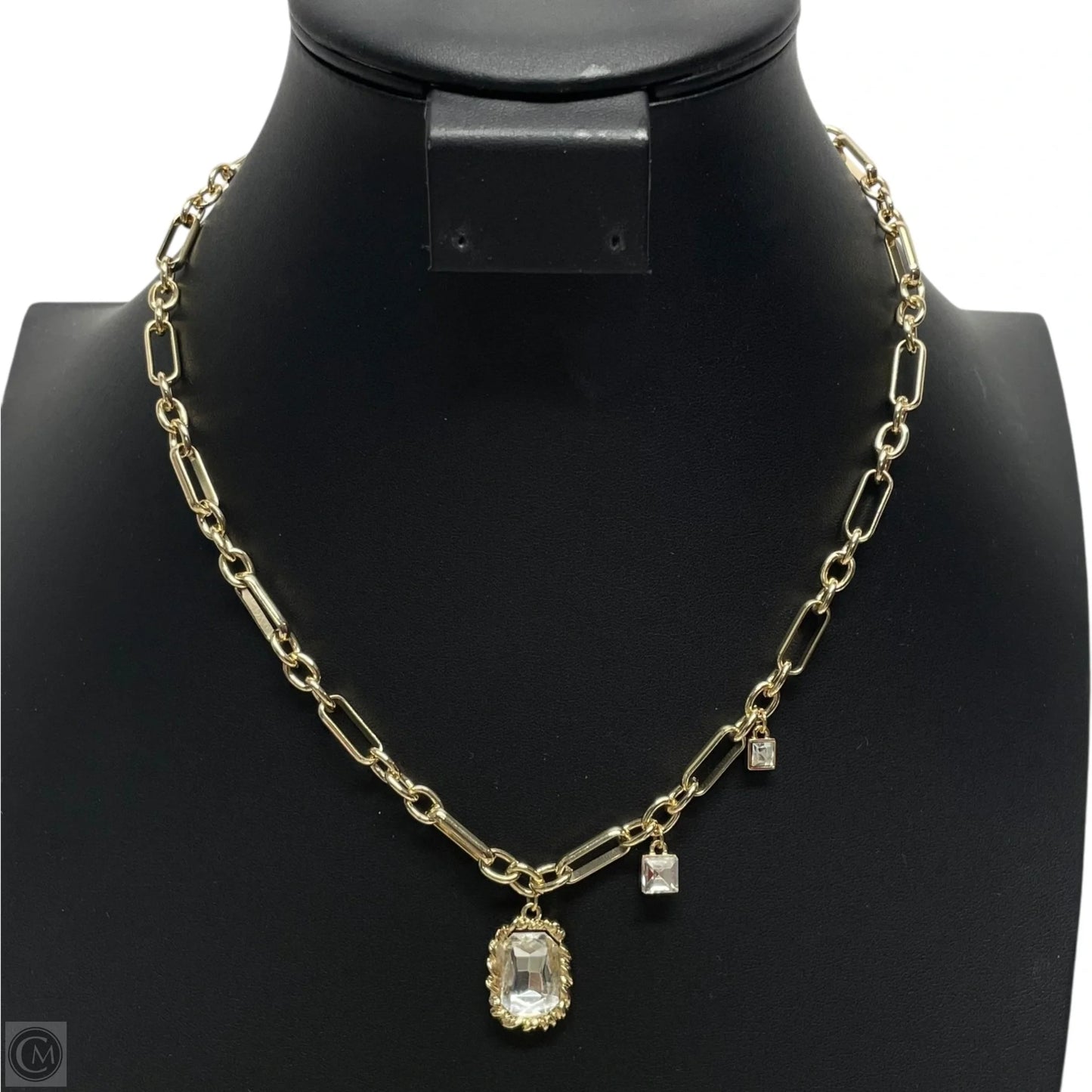 Necklace Chain By Clothes Mentor