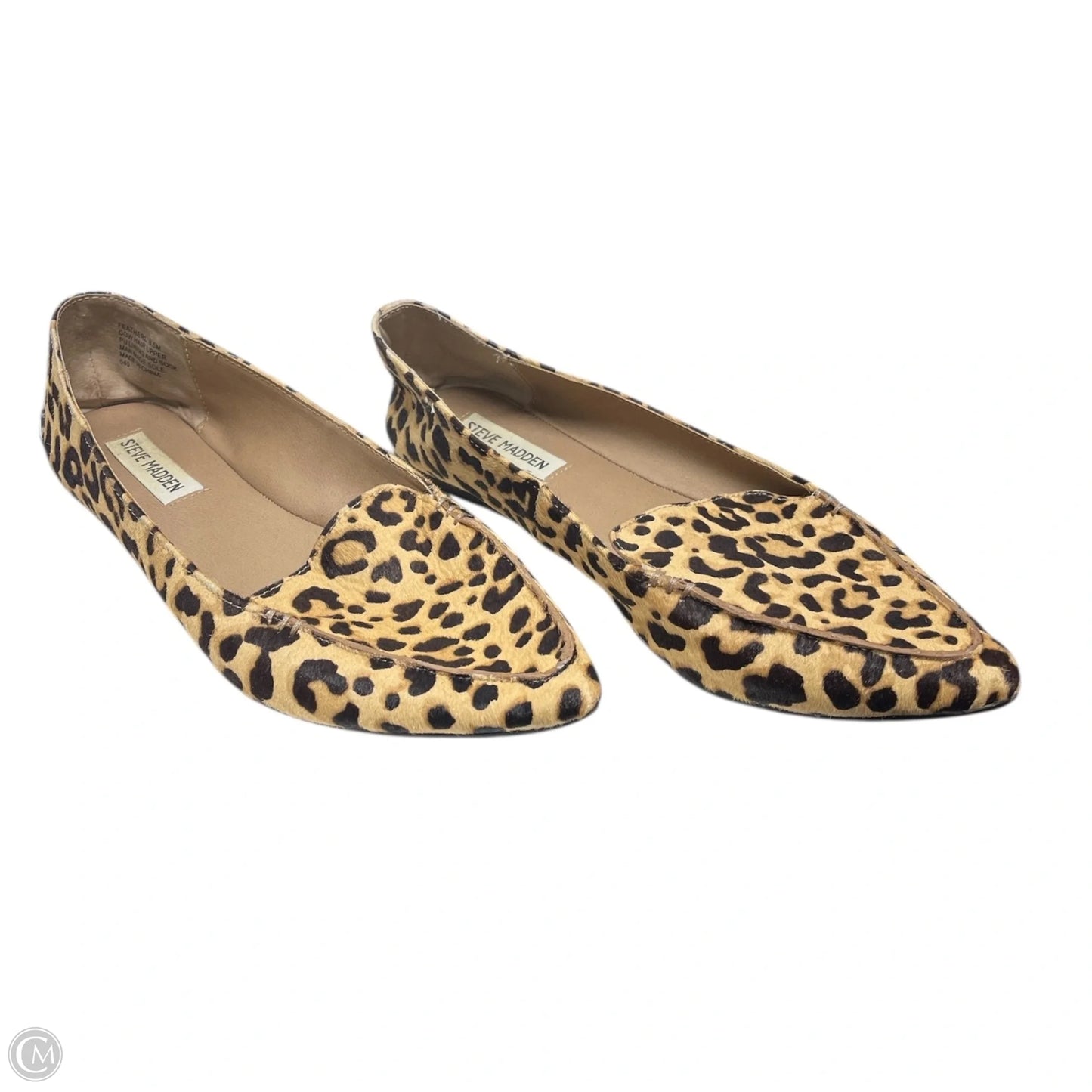 Shoes Flats By Steve Madden In Animal Print, Size: 8.5