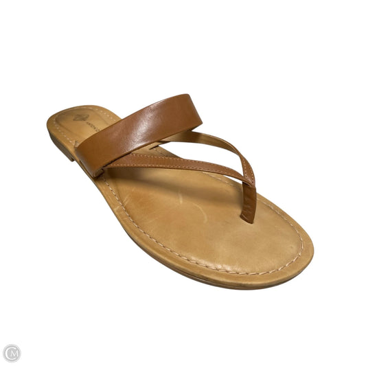 Sandals Flip Flops By Antonio Melani In Brown & Tan, Size: 8.5