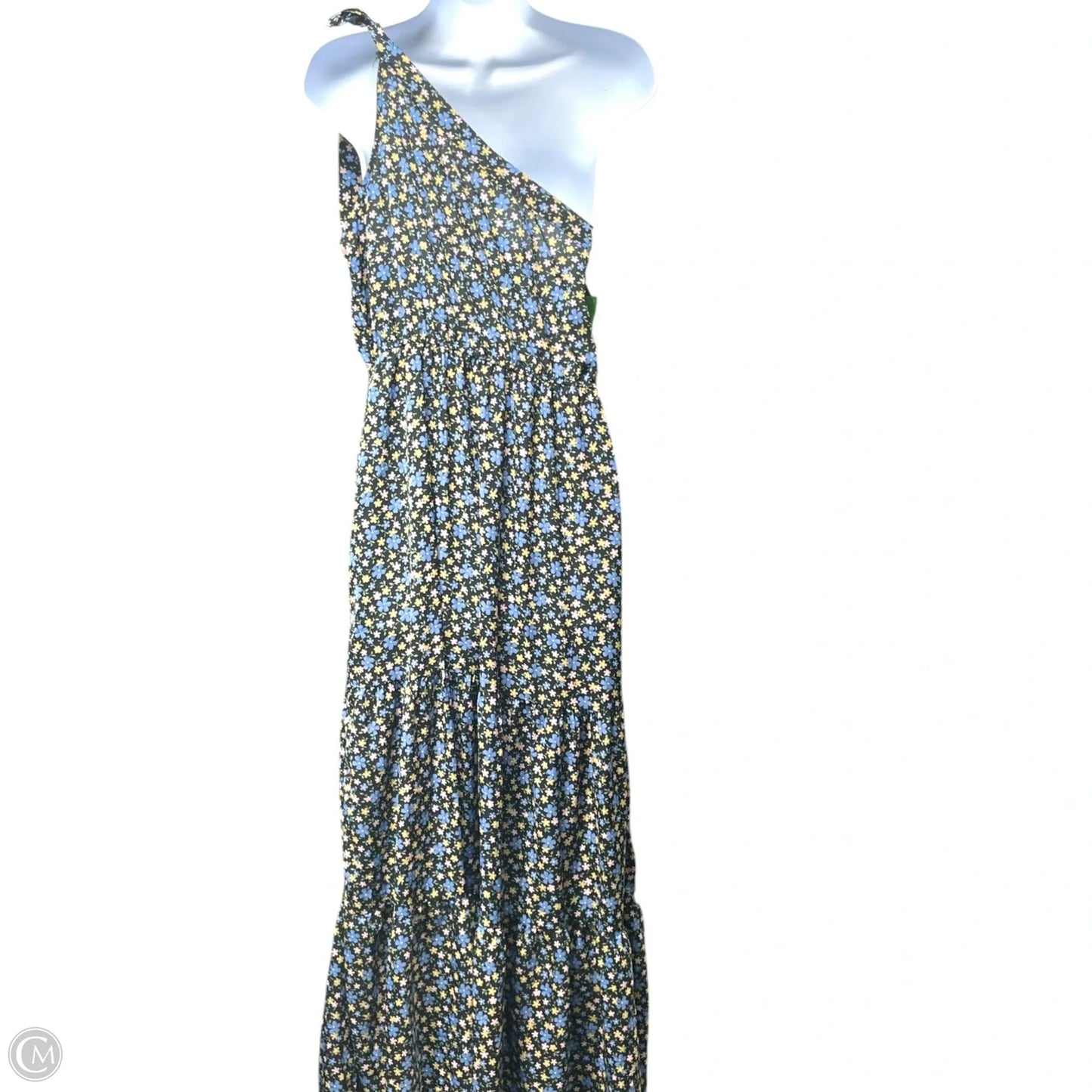 Dress Casual Maxi By Clothes Mentor In Animal Print, Size: M