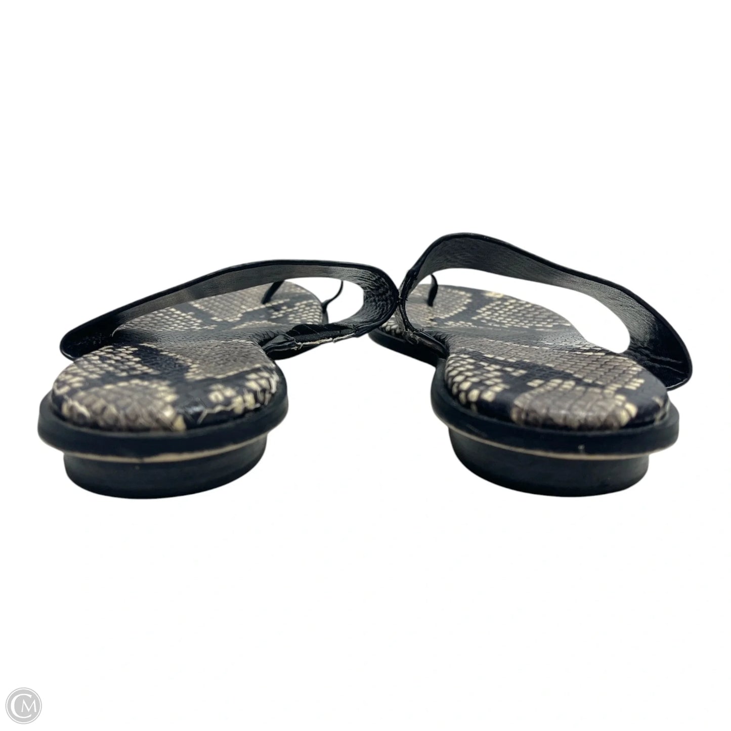 Sandals Flats By Michael By Michael Kors In Snakeskin Print, Size: 7