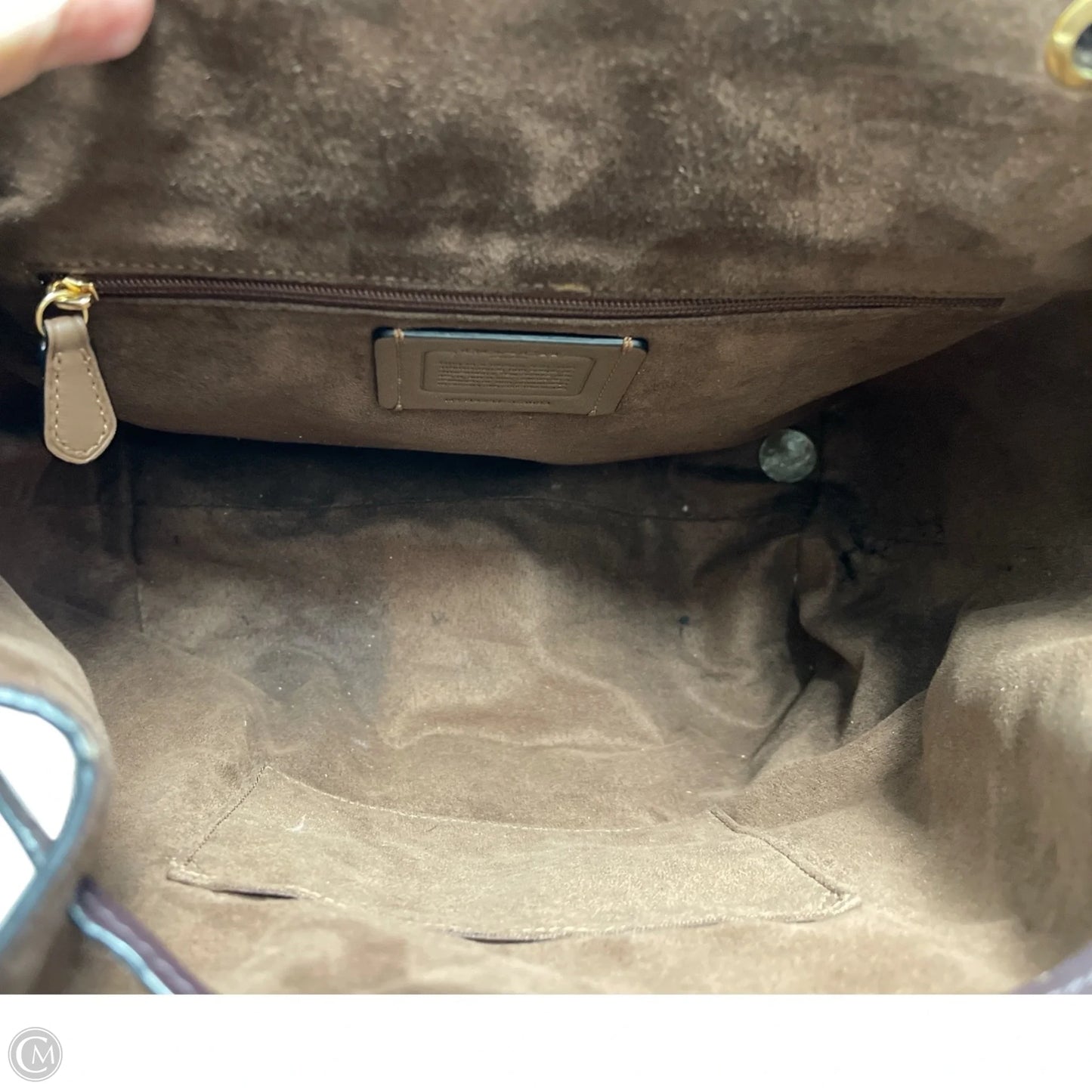 Backpack Designer By Coach, Size: Medium